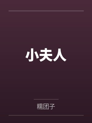 小夫人