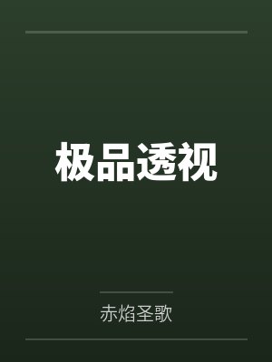 极品透视